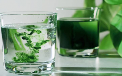 4 lợi ích tiềm năng của thực phẩm bổ sung diệp lục