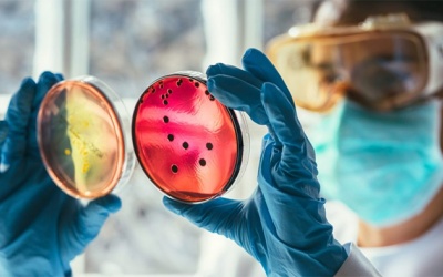 Phòng, chống kháng thuốc: Bài toán cần phối hợp liên ngành