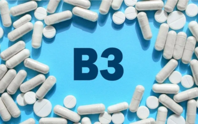 Nghiên cứu mới hé lộ bí quyết bảo vệ sức khoẻ tim mạch nhờ vitamin B3 