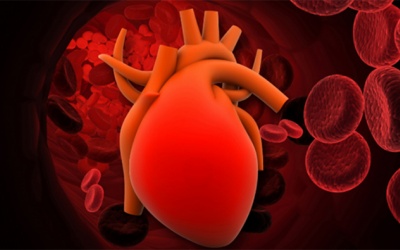 Làm thế nào để phòng ngừa suy tim?