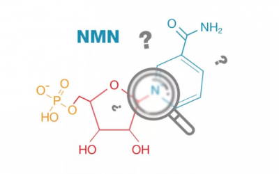 NMN có tác dụng thế nào trong việc ngăn ngừa những cơn đau nhức do tuổi tác?