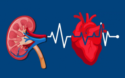 Ngăn ngừa biến chứng suy tim do suy thận 