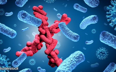 143 người tử vong do bệnh lạ ở CHDC Congo, WHO vào cuộc