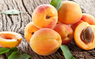 Hạt mơ có thực sự làm giảm các triệu chứng ung thư?