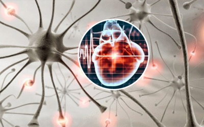 Rối loạn thần kinh thực vật có khỏi được không?