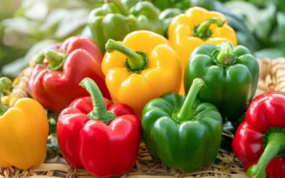 Ớt chuông: Siêu thực phẩm tốt cho tim mạch và đường ruột