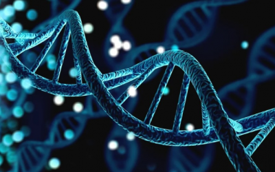 Phụ nữ dễ sảy thai có thể do gene di truyền?