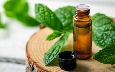 4 lợi ích sức khỏe của bạc hà 