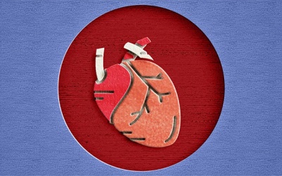 Một vài thắc mắc thường gặp về hở van 3 lá