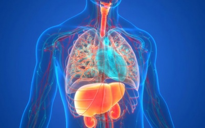 Bệnh mạn tính có thể ảnh hưởng đến sức khỏe thận