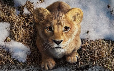 Gợi ý phim cuối tuần: Ra rạp xem “Mufasa: Vua sư tử”