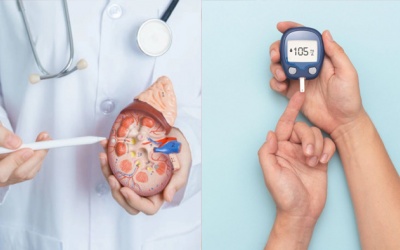 Tại sao mắc bệnh thận khiến bệnh đái tháo đường trầm trọng hơn?