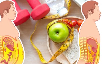 Có cách nào để giảm mỡ nội tạng?  