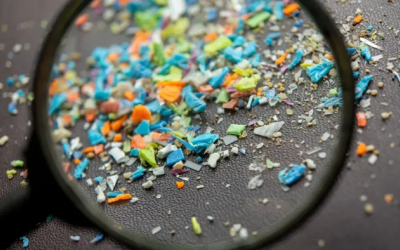 Ngày càng nhiều thêm các tác hại của hạt vi nhựa