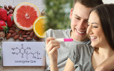 Lợi ích của CoQ10 với các cặp đôi hiếm muộn