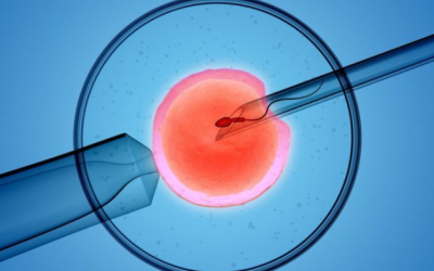 Liệu có thể áp dụng AI vào IVF?