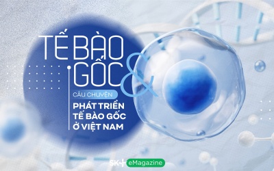 Câu chuyện phát triển tế bào gốc tại Việt Nam