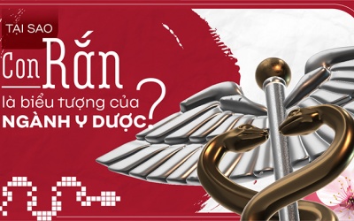 Tại sao con rắn là biểu tượng của ngành y dược?