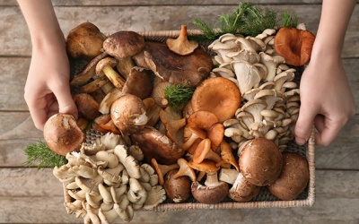 Nấm có trữ đông được không?