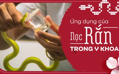 Ứng dụng của nọc rắn trong y khoa