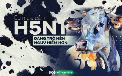 Cúm gia cầm: H5N1 đang trở nên nguy hiểm hơn