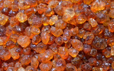 Những công dụng bất ngờ của nhựa cây đào với sức khoẻ