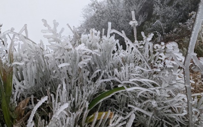 Dự báo thời điểm chấm dứt rét đậm, rét hại