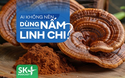 Podcast: Ai không nên dùng nấm linh chi?