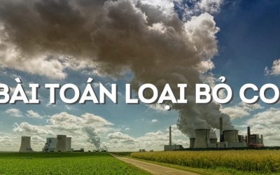Loại bỏ carbon dioxide: Hướng dẫn thực hành tốt cho doanh nghiệp