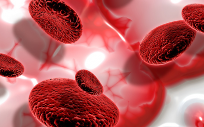 Thiếu máu bất sản: Căn bệnh hiếm vô cùng nguy hiểm 