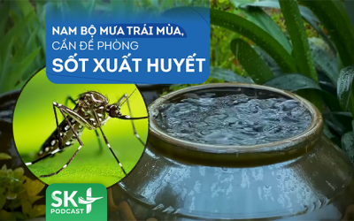 Podcast: Nam Bộ mưa trái mùa, cần đề phòng sốt xuất huyết