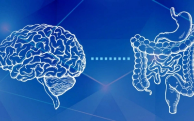 Dự báo nguy cơ đột quỵ dựa trên sức khoẻ đường ruột 