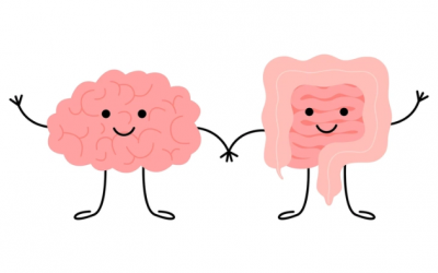 Mối liên hệ độc đáo giữa thiền định và sức khoẻ đường ruột 