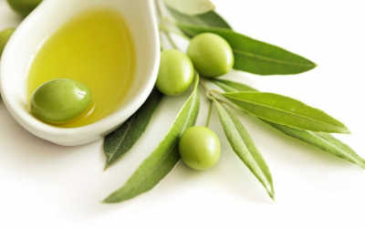Lá olive và những công dụng cho sức khoẻ