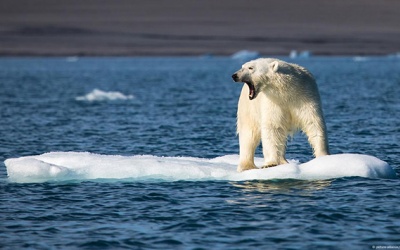 La Niña không còn đủ sức hạ nhiệt, Trái Đất tiếp tục nóng kỷ lục