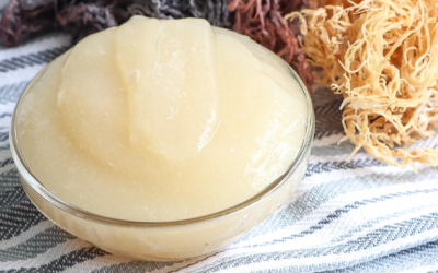 Giải đáp những câu hỏi xoay quanh loại thực phẩm làm đẹp Sea Moss Gel