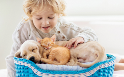 Làm thế nào để nuôi dưỡng mối quan hệ tích cực giữa trẻ và thú cưng?