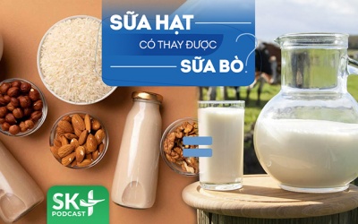 Podcast: Có nên uống sữa hạt thay sữa bò, thay nước lọc không?