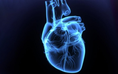 Suy tim độ 2 kèm hở van 2 lá 2/4 có nguy hiểm không?