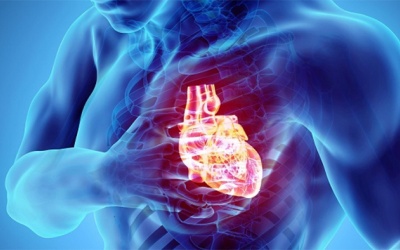 Bệnh mạch vành 3 thân là gì và điều trị như thế nào?