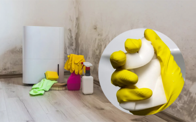 Khi nào không nên lau dọn với miếng mút melamine “thần thánh”?