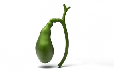 Polyp túi mật có nguy hiểm không?