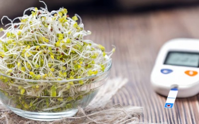 Hợp chất trong rau mầm bông cải giúp dự phòng đái tháo đường type 2