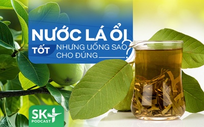 Podcast: Nước lá ổi tốt nhưng uống sao cho đúng?