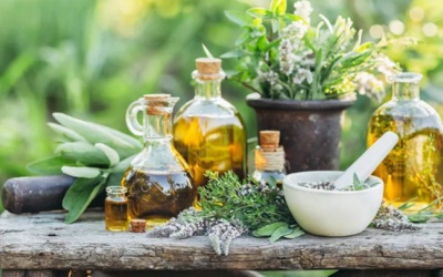 8 thảo dược kích thích mọc tóc