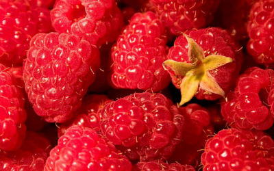 Mắt sáng, da “xinh” cùng nhiều lợi ích khác khi ăn quả mâm xôi thường xuyên