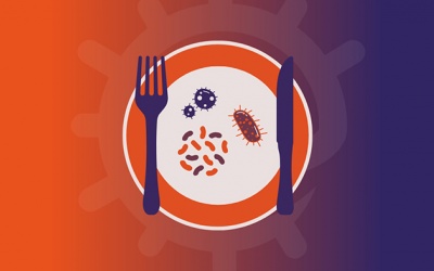 Những mầm bệnh mới nổi đe dọa an toàn thực phẩm