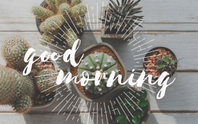 Tử vi thứ Bảy (15/3/2025): Thiên Bình sẽ có ngày mới tích cực