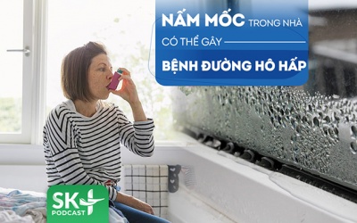 Podcast: Cảnh giác nấm mốc trong nhà có thể gây bệnh đường hô hấp