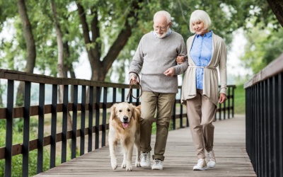 Đi bộ giúp người cao tuổi sống lâu, sống khỏe